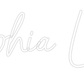 Personalisierbares Neon - LED - Schild in Pink, ideal als Wanddekoration für Wohnzimmer oder Geschäftsräume